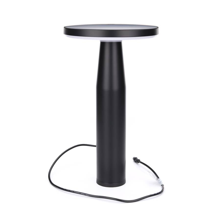 in-lite | DISC LOW | Pollare