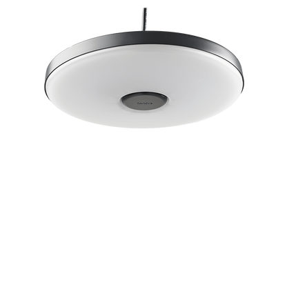 in-lite | DISC PENDANT | Pendant Lights