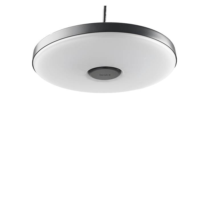 in-lite | DISC PENDANT DUO | Pendant Lights | 230V