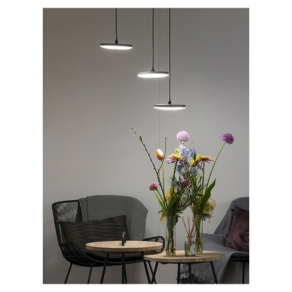 in-lite | DISC PENDANT TRIPLE | Pendant Lights | 230V  